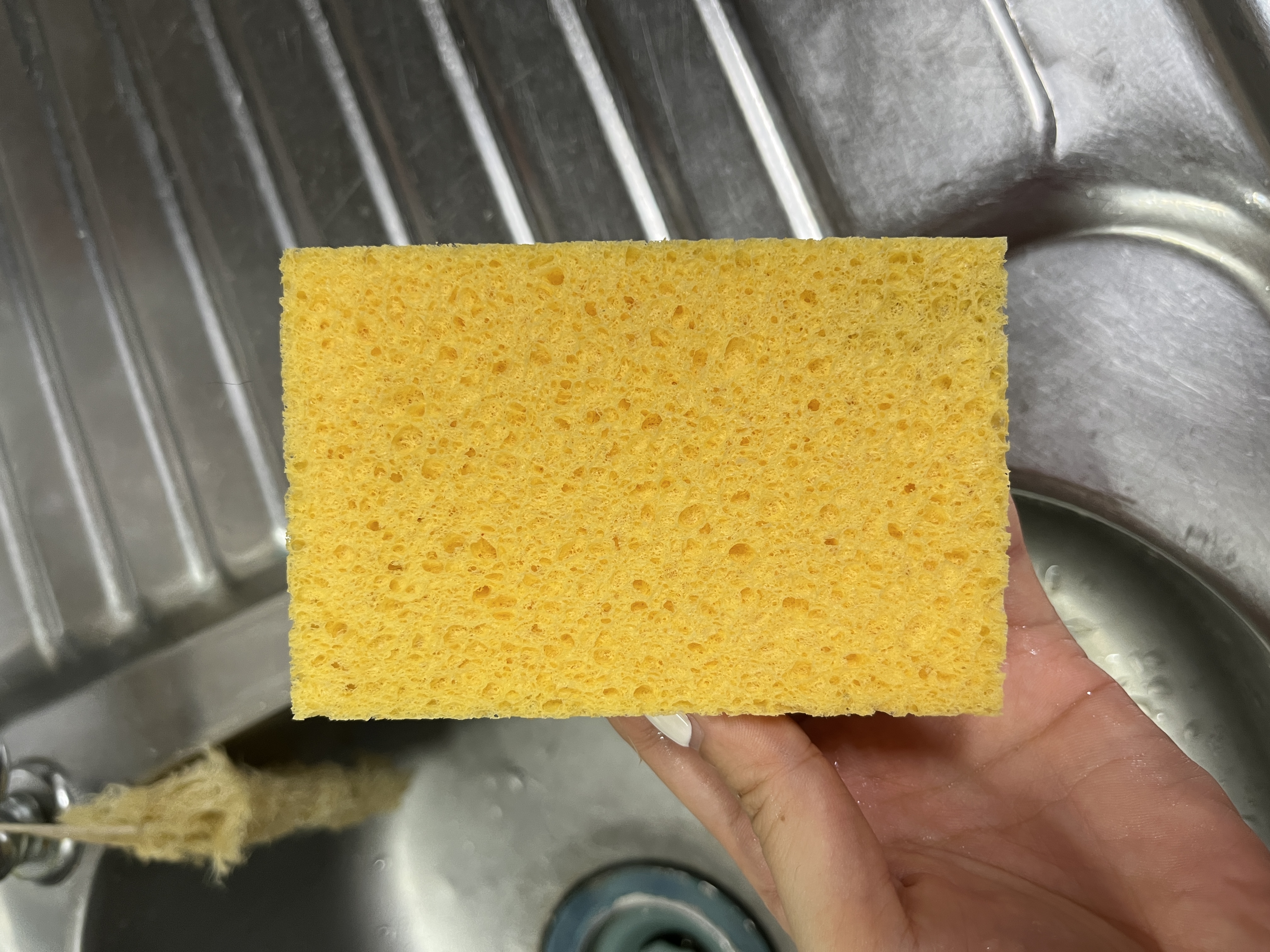 F2EB22FA-23A4-45F6-B77C-FD0C4143F090.jpe