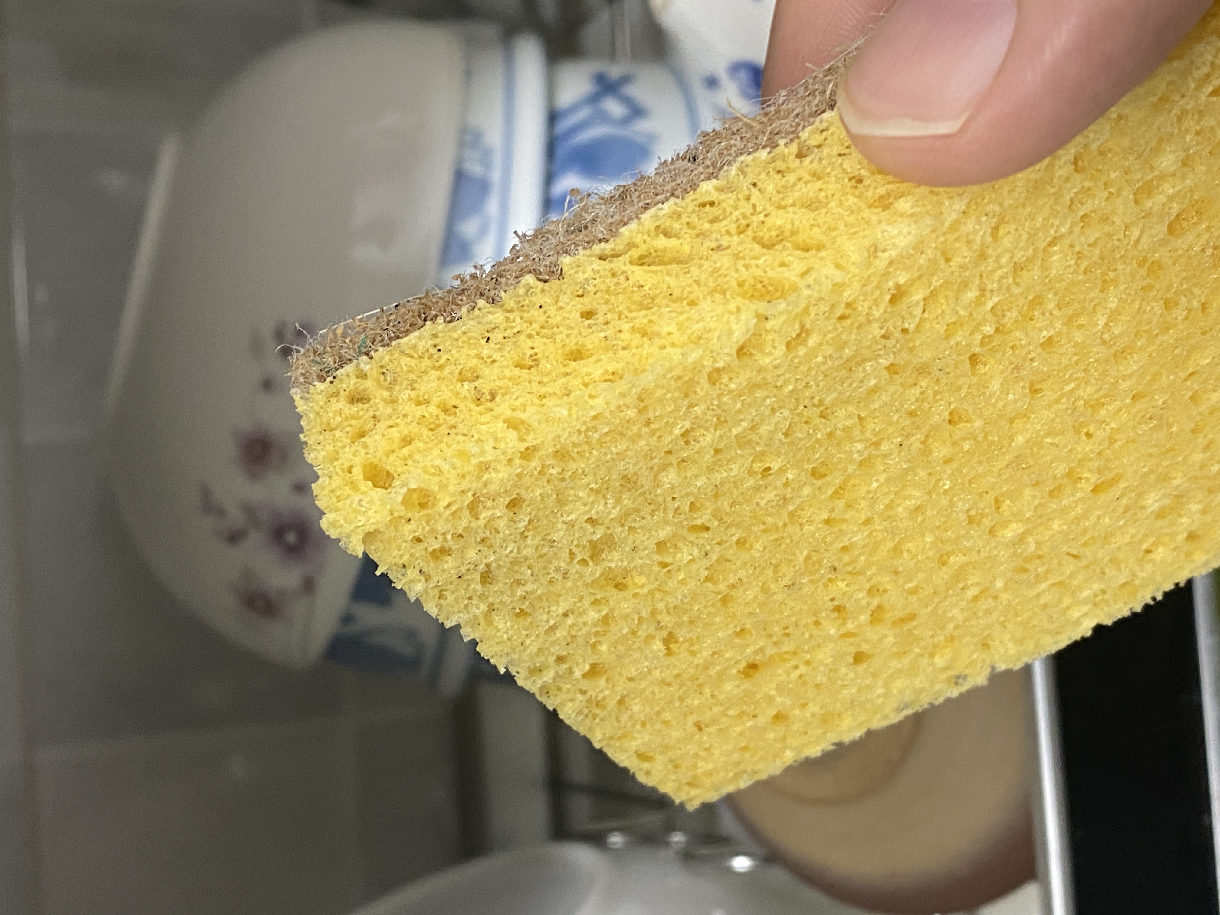 24BE0B48-A87B-49EC-B2D4-32FD10BADC10.jpe