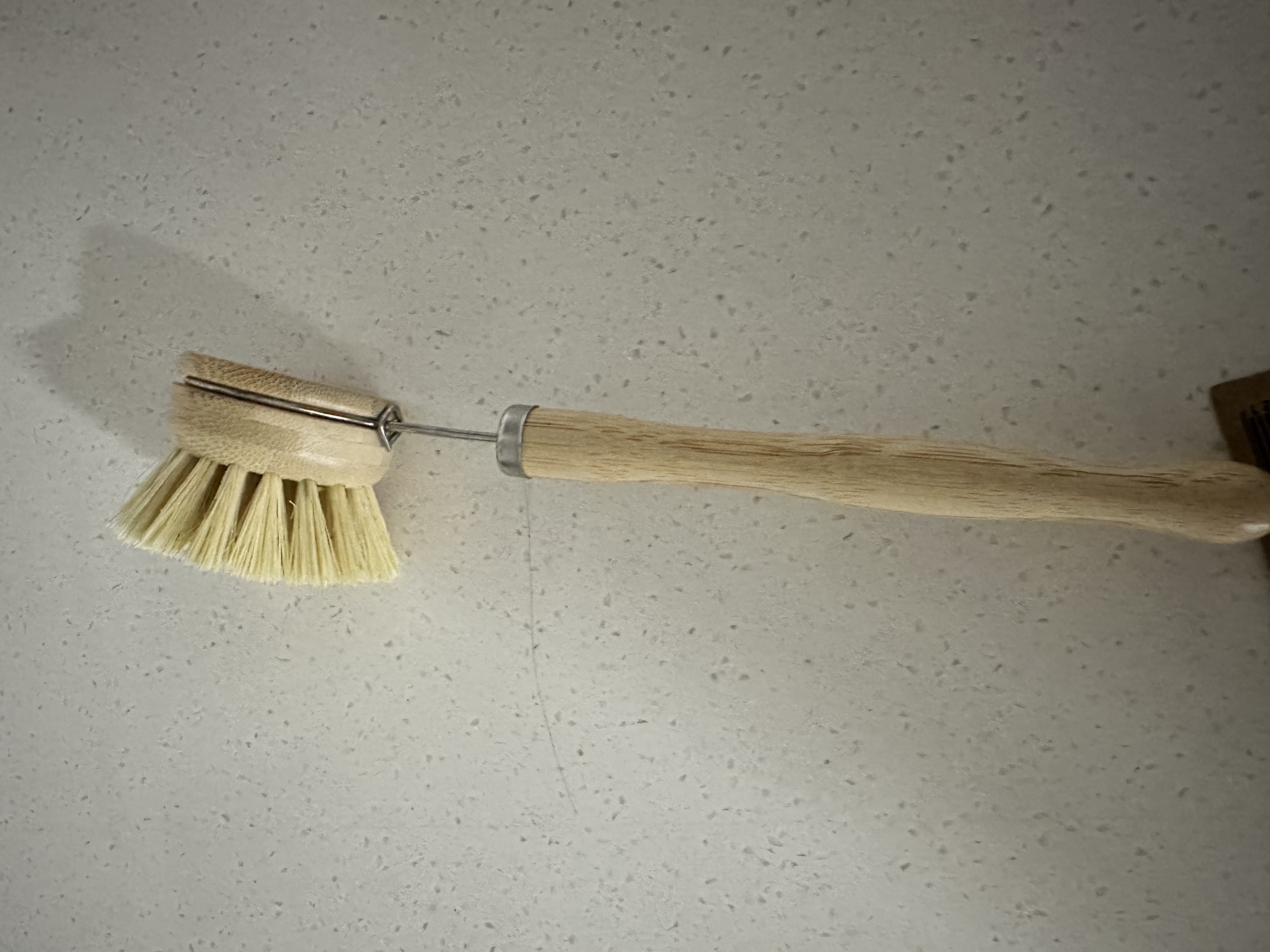 53AB5DF7-E22D-4F0E-9CF3-31BC23D92085.jpe