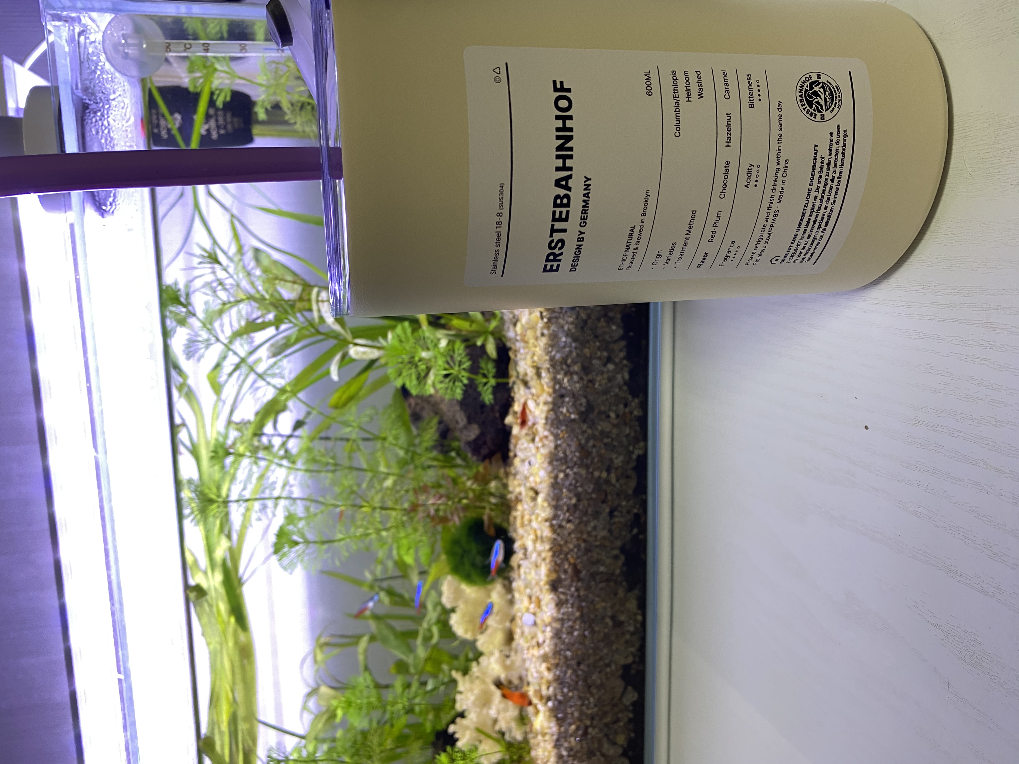 4B264F5B-1C87-4062-B6BF-C83B9723672F.jpe