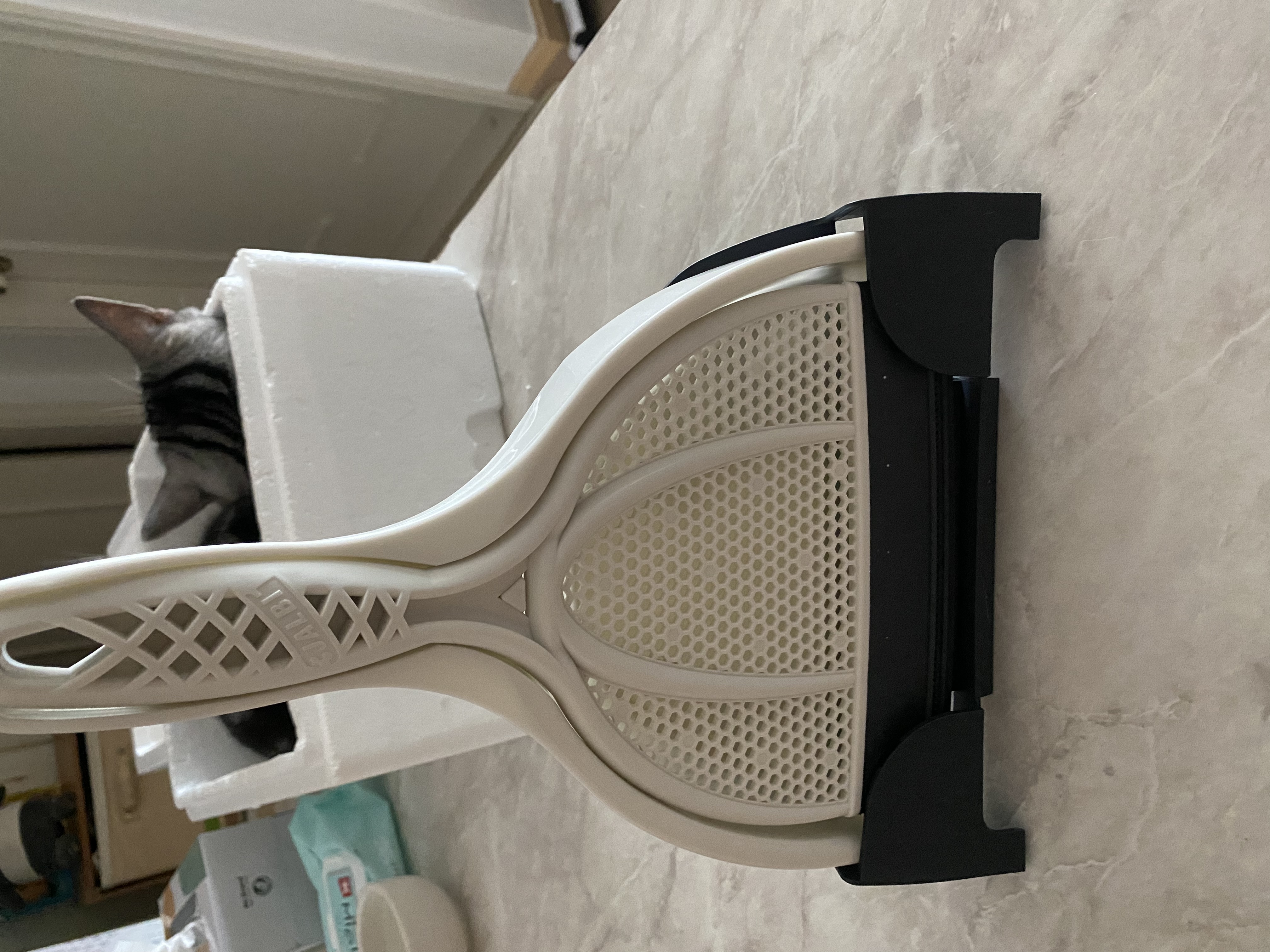 BCC80DA2-9AFC-4CBC-8871-C579A733645E.jpe