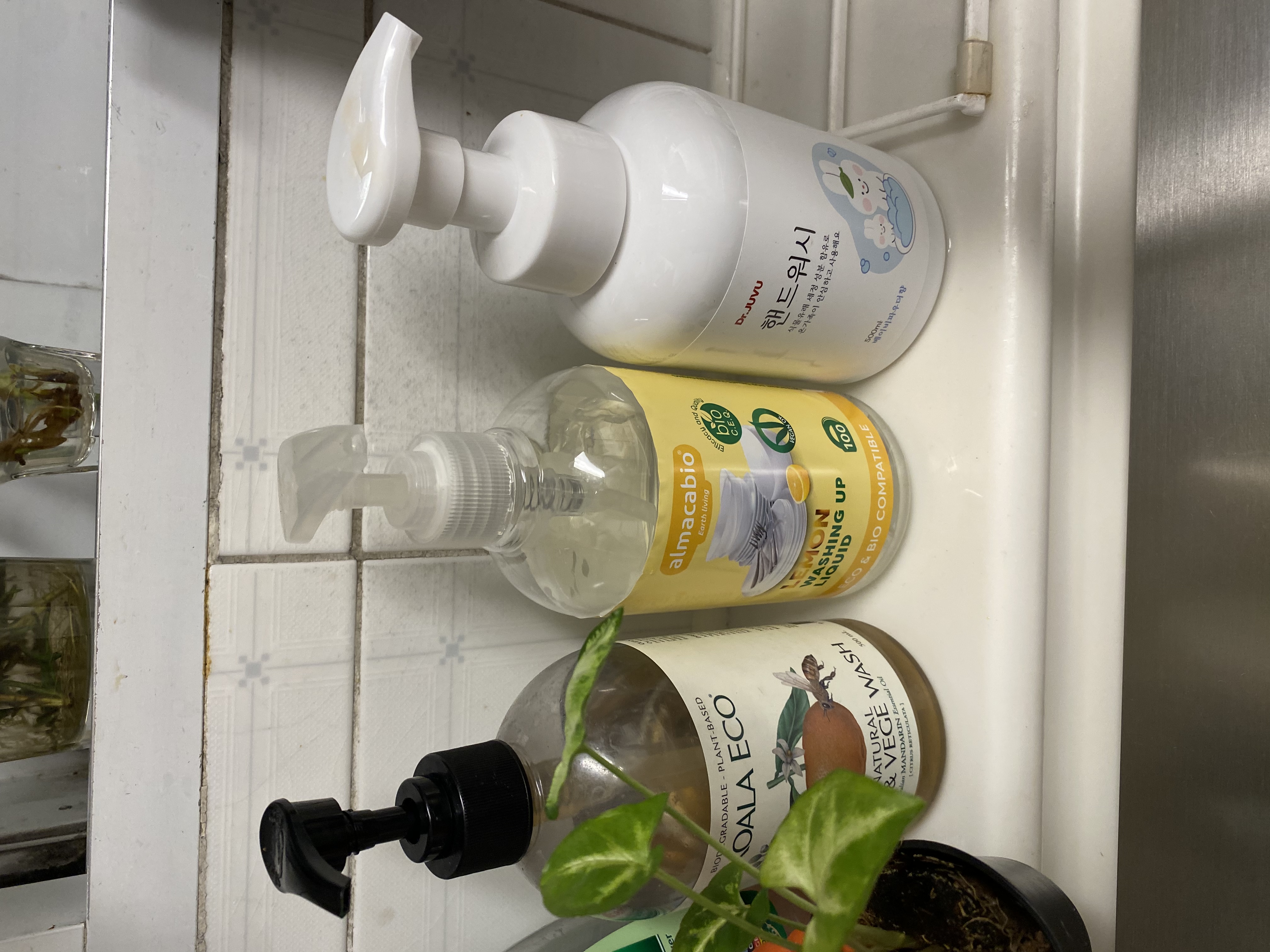 F133F26B-D9B4-4A72-AF65-C2A8611037AB.jpe