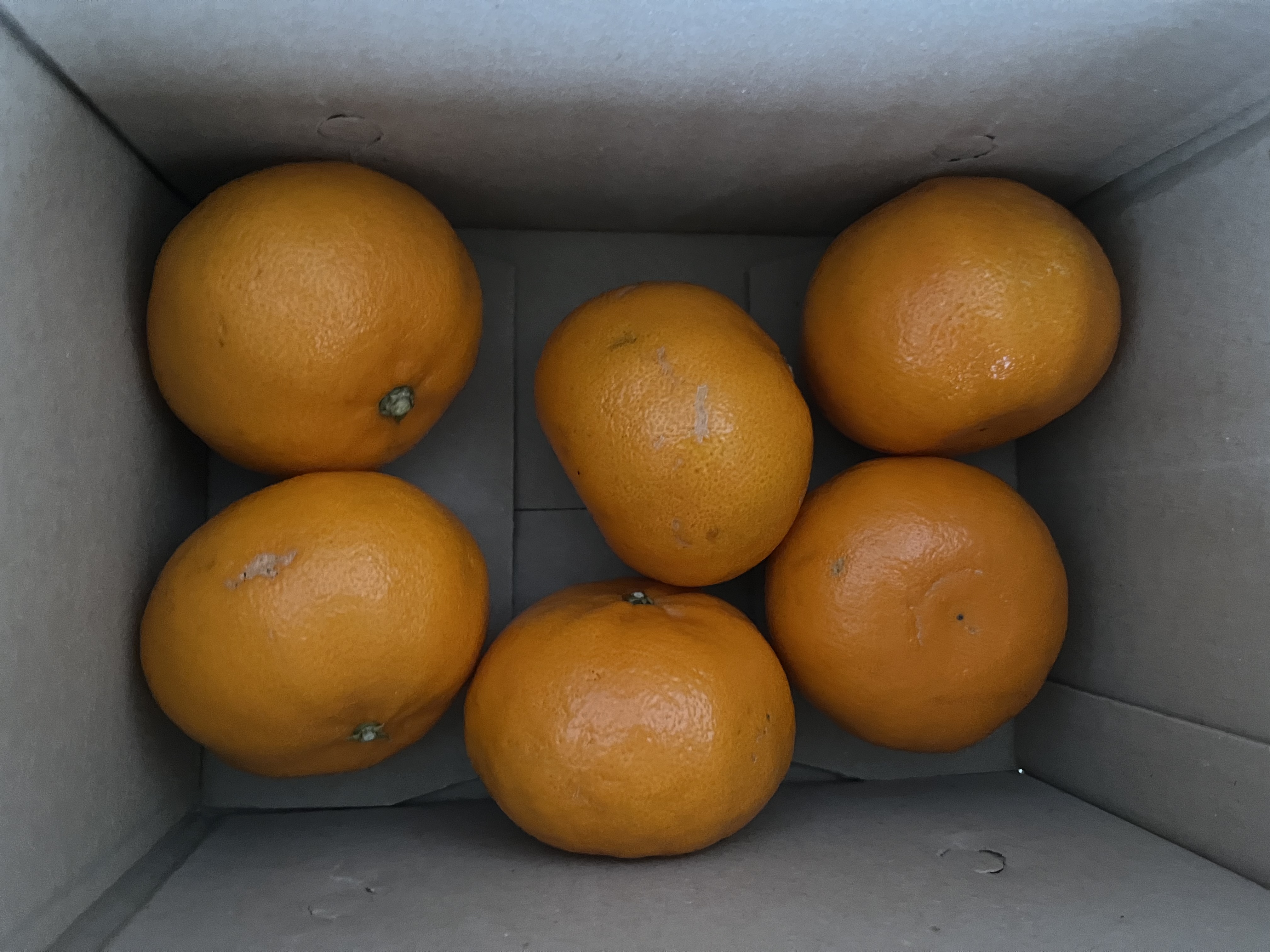 9D663D76-926F-45BF-B9D5-8C0AB093F51C.jpe