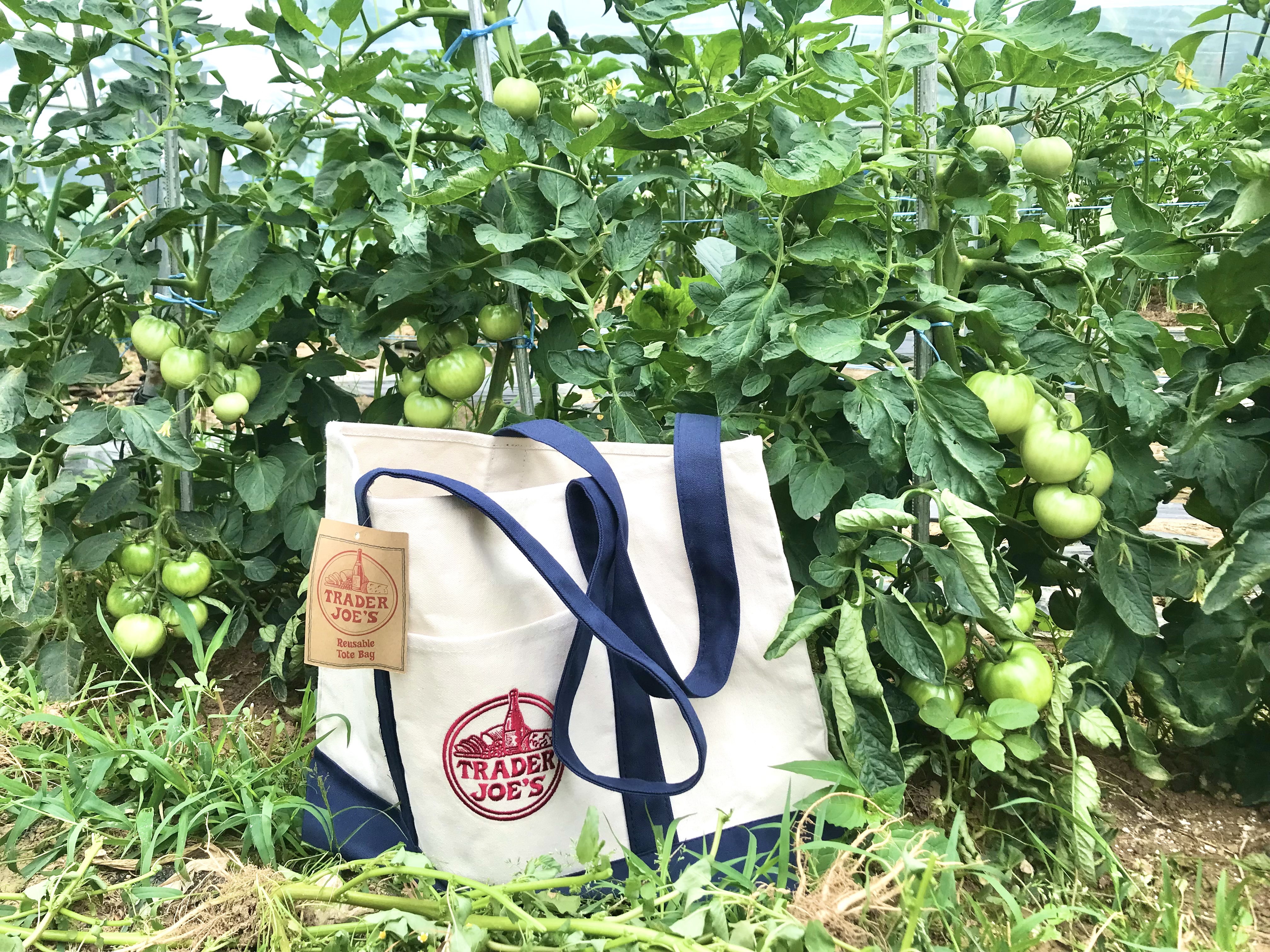 7D622D15-2D4D-4FD4-ADF5-AF0D0049B943.jpe