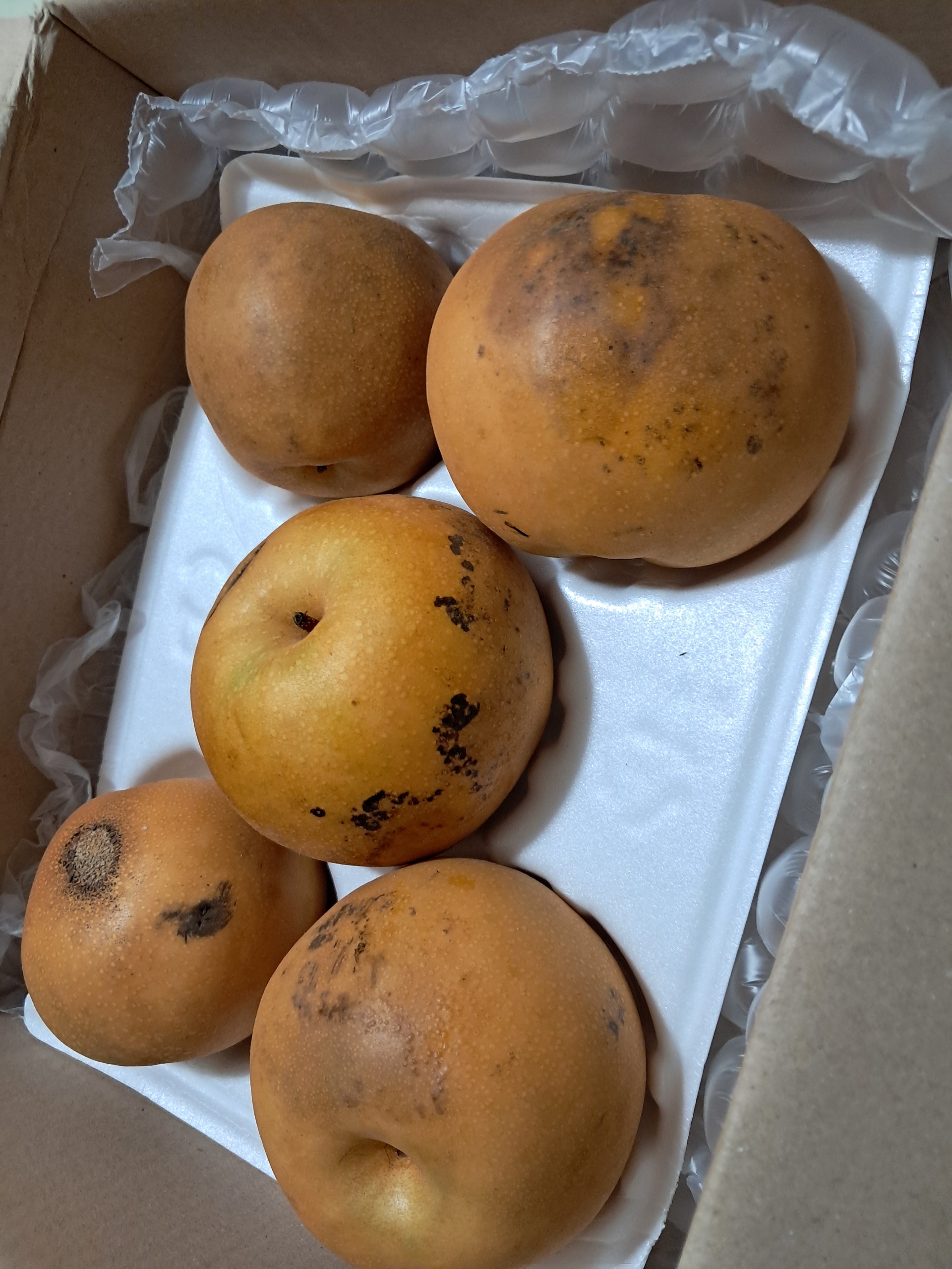 Resized_20241102_152804_1730528927095.jp