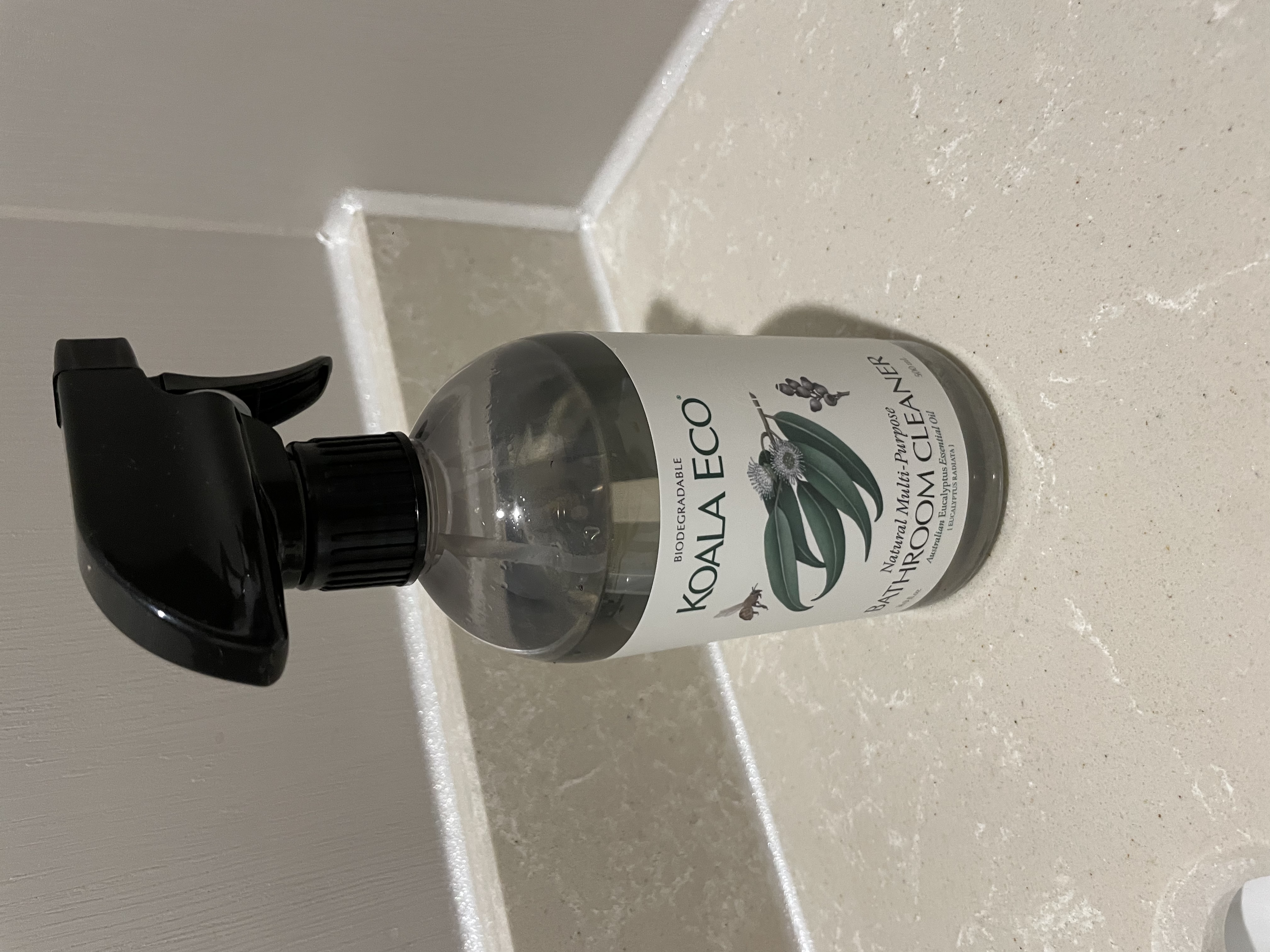 4B7515C3-8A6F-4F99-9801-ABCA176E870A.jpe