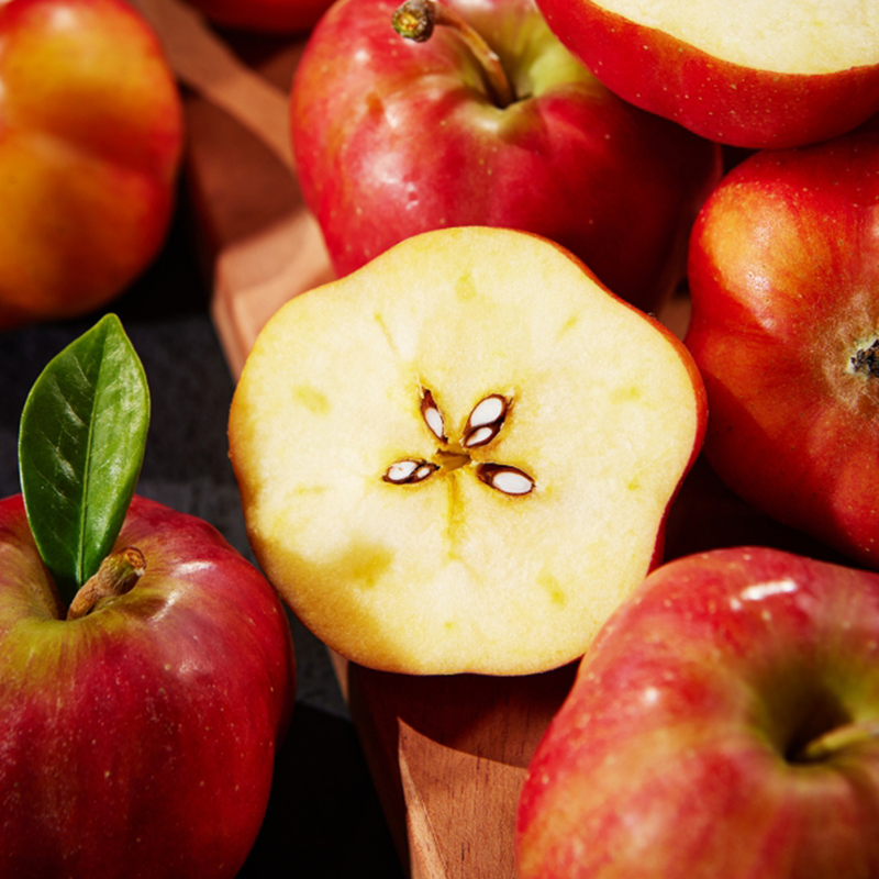 [명인의 과일] 영주 가을스타 별사과 1kg 상품이미지