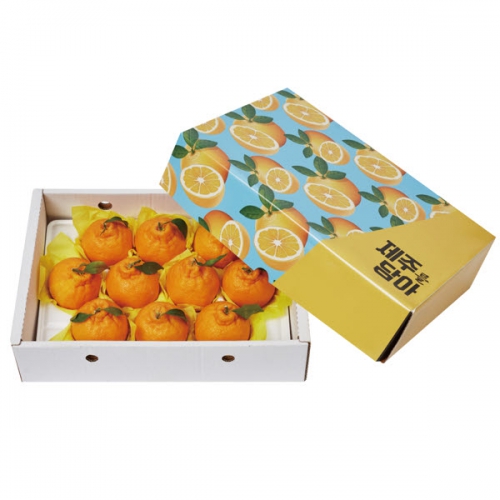 [면세][섬곳간] 한라봉 3kg