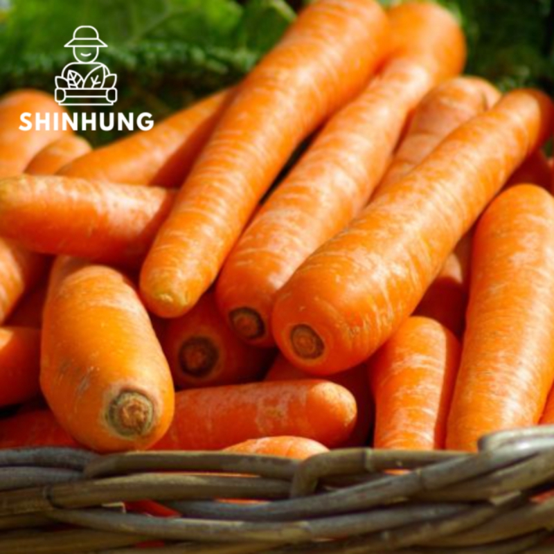 국내산 당근 상등급 상품이미지