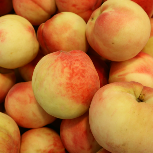 경산/김천 황도 복숭아 소과 1.5KG(10내 이상) 12일 16시