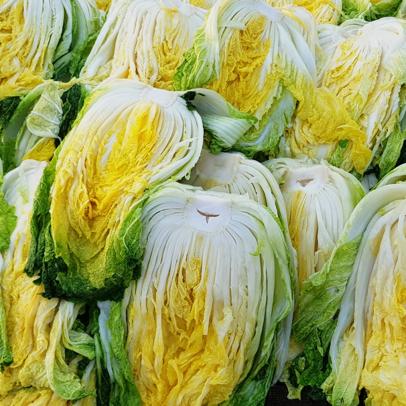 [지브로와] 100% 국내산 정제염으로 절인 속이 꽉찬 해남 절임 배추 20 kg 상품이미지