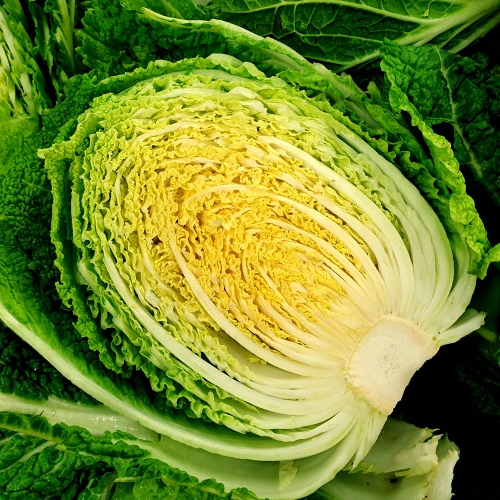 [지브로와] 100% 국내산 정제염으로 절인 속이 꽉찬 해남 절임 배추 20 kg