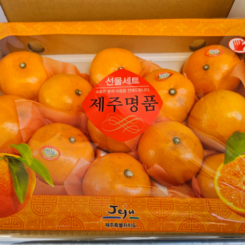 제주도 가정용 선물용 천혜향