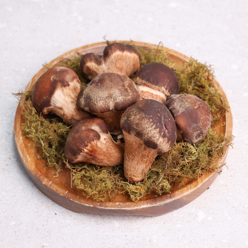 오늘신선 산지직송 무농약 참송이버섯 가정용 정픔 선물세트 모음 상품이미지