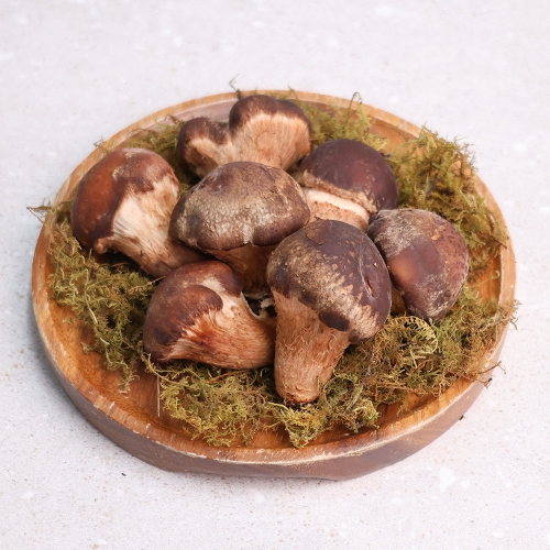 오늘신선 산지직송 무농약 참송이버섯 가정용 정픔 선물세트 모음