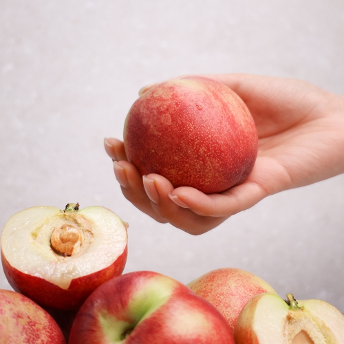 ★6/16순차출고[오늘신선] 경북 영천 산지직송 제철과일 천도복숭아 신선 로얄과 1kg/2kg