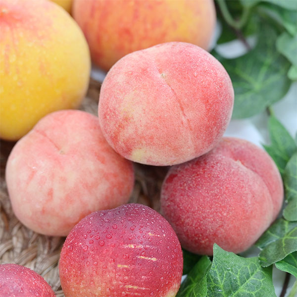 시즌과일! 새콤달콤 복숭아 모음전 (천도/황도/백도/납작복숭아/딱복) 상품이미지