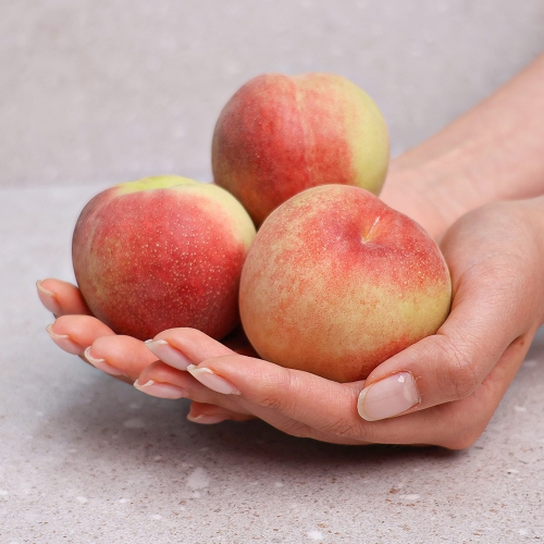 [오늘신선] 경북 영천 반납작이 복숭아 대극천(홈플러스 납품용) 03일 16시