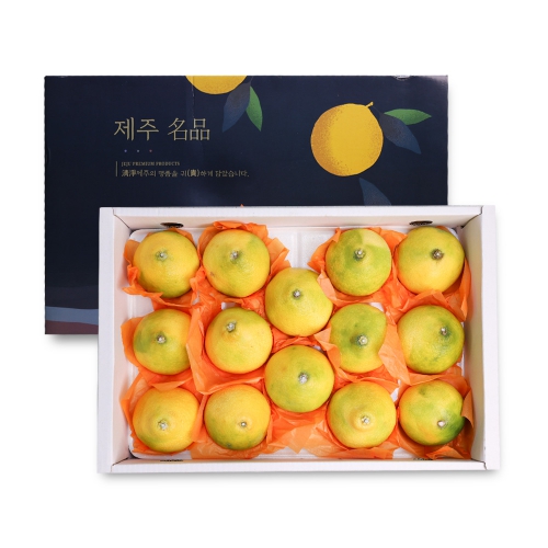 [오늘신선] 2025년 추석 선물세트 제주직송 감귤&황금향 선물세트