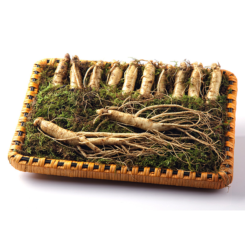 소문난 리얼 맛집 수삼 100년 더 약초 금산 수삼 / 더덕 VVIP 선물세트 상품이미지