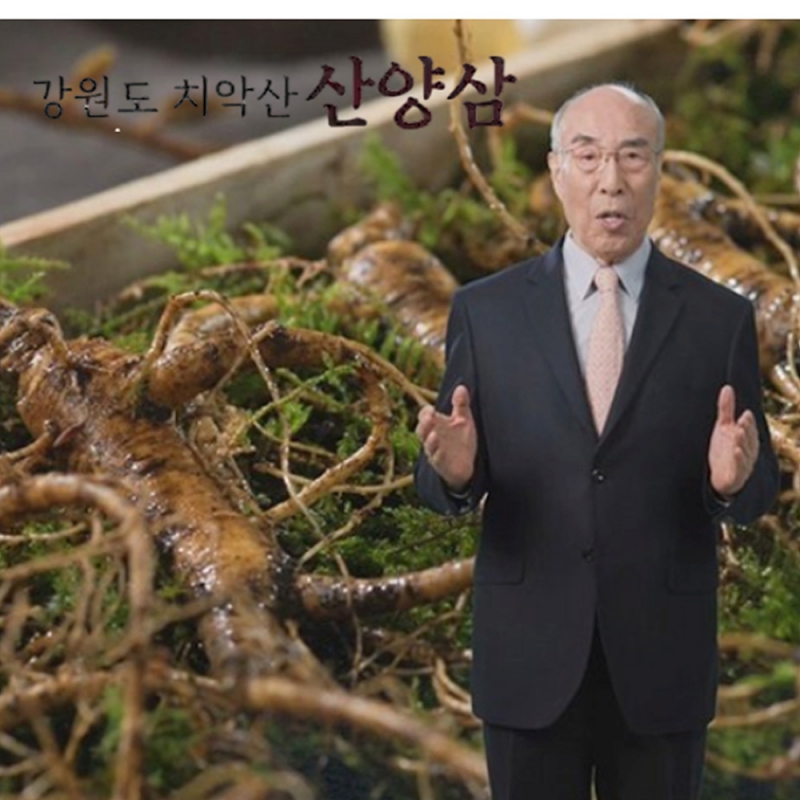 강원도 치악산 산양삼 5뿌리 국내산 인삼 새싹 산양삼 원기회복 묘삼 고급 오동나무 박스 포장 5뿌리 1세트 상품이미지