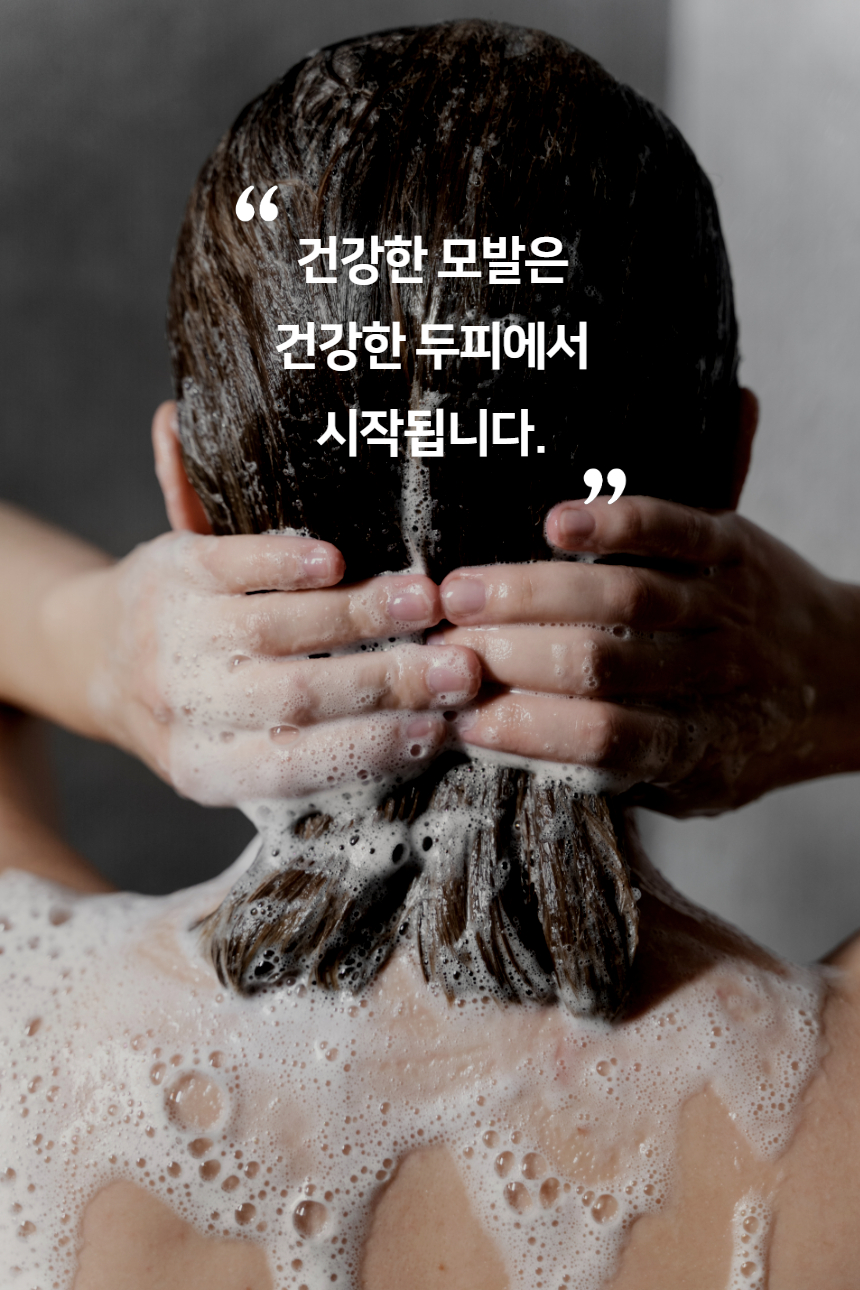 260820_%25EC%25A7%2584%25EC%2595%25A1%25EC%2583%25B4%25ED%2591%25B8%25EB%25B0%259404.jpg