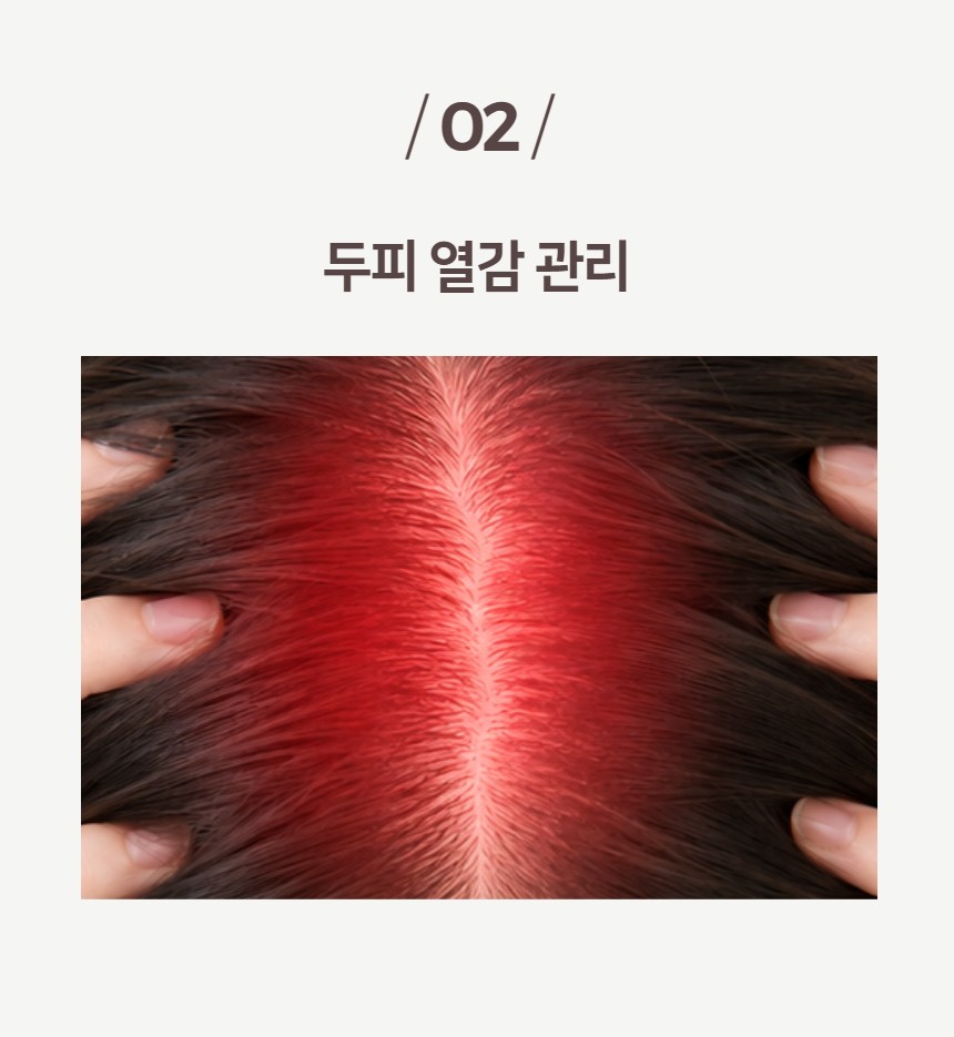 260820_%25EC%25A7%2584%25EC%2595%25A1%25EC%2583%25B4%25ED%2591%25B8%25EB%25B0%259408.jpg