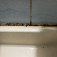 실리콘 곰팡이는 어떻게 없애야 할까요? 