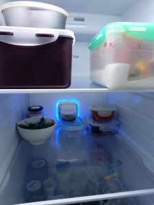 미니멀꿈나무의 냉장고정리