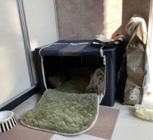 리빙박스의 변신은 무죄~