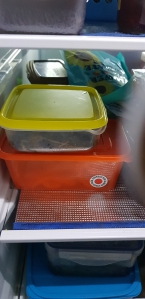 생분해 반찬통으로  음식쓰레기줄여요