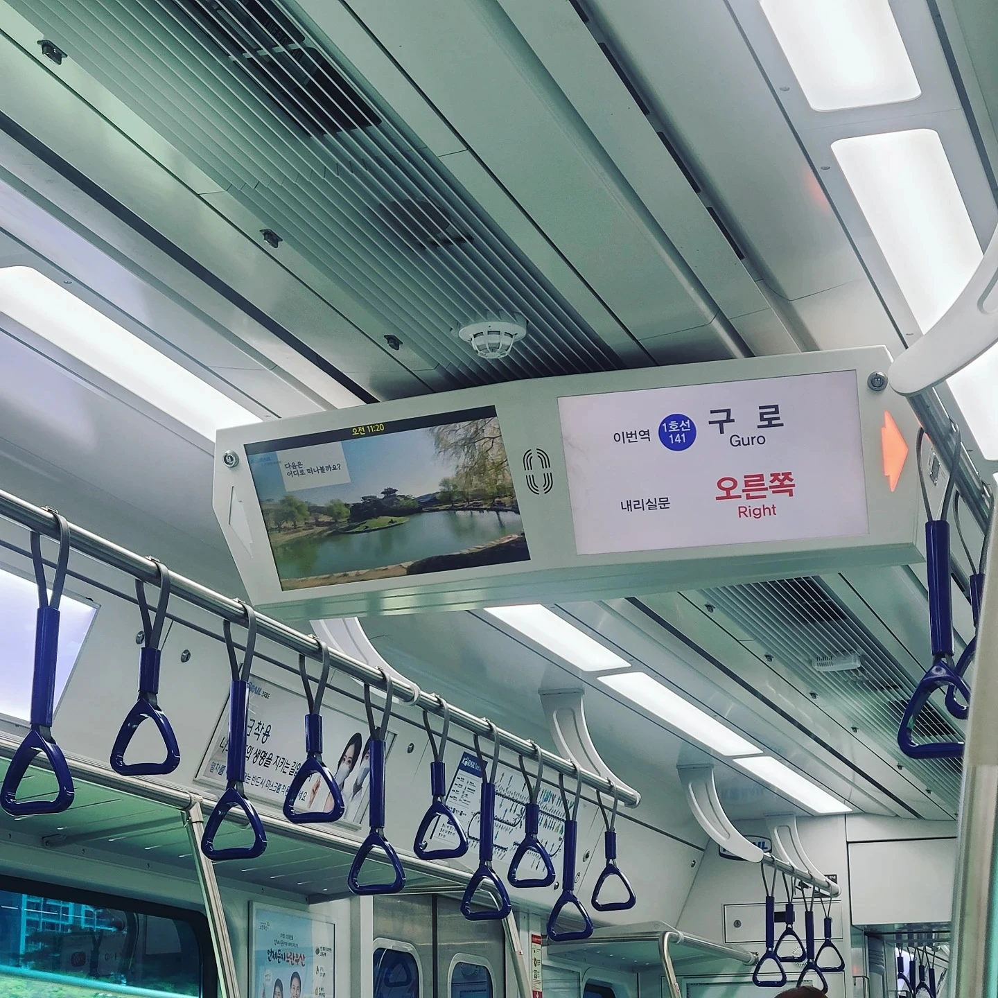 자동차 대신 대중교통 이용해요