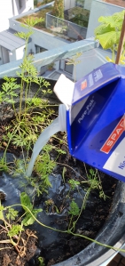 마 마긴 우유각 행겨서 싱크대에 버리지 않아요