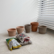 화분은 직접 모종을 사다가 심어요 : )