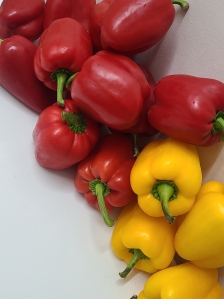 쓰레기를 최소화한 도시락 준비:)