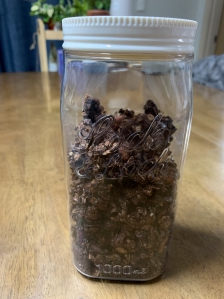 수제 그래놀라 만들었어요