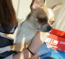 공원산책 주말나들이