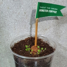 커피찌거기화분