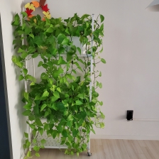 샤워 전 뜨거운 물 기다리기 전까지 물절약하기!