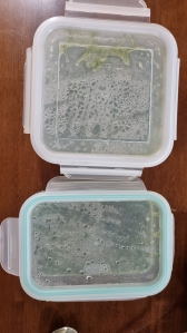 나도 살고 지구도 살고