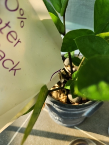 아이스팩물화분에부어요