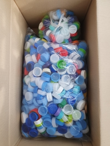 환경운동 실천하기