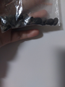 이제 수세미도 집에서 키우세요!!