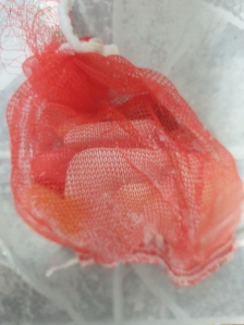 작은 비누 모아 양파망에 넣어 손빨래할때 사용해요~