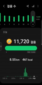 만보걷기  챌린지