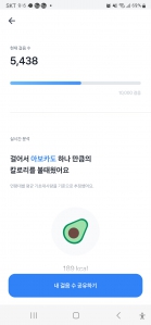 5000보 걷기성공
