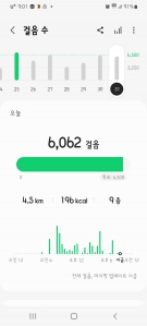 2023 01 31  걷기인증