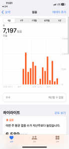 7,197 걸음 인증!