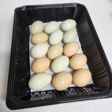 계란 용기에 보관하기