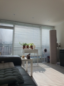 볕좋은날 거실 단정한척 찍어서 올려요